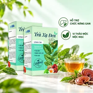 Trà Xạ Đen Linh Chi hỗ trợ chức năng gan, vị thảo mộc mộc mạc